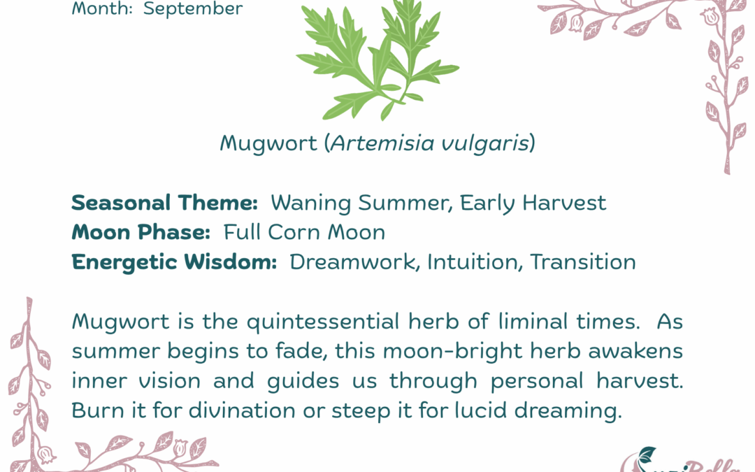 Mugwort (Artemisia vulgaris)
