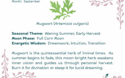 Mugwort (Artemisia vulgaris)