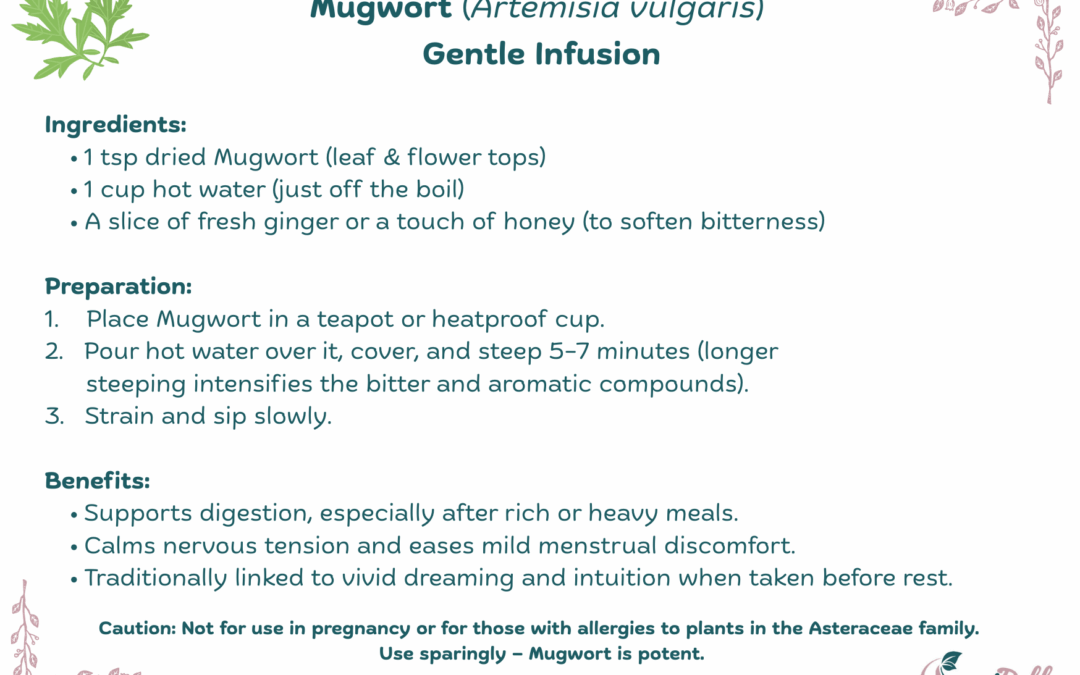 Mugwort Infusion