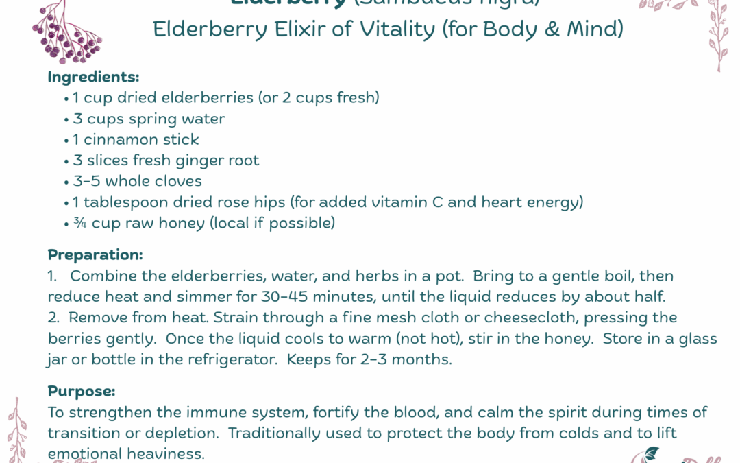 Elderberry Elixir of Vitality