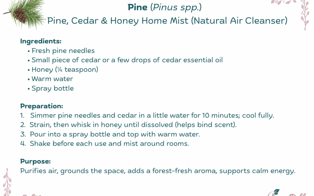 Pine, Cedar & Honey Home Mist