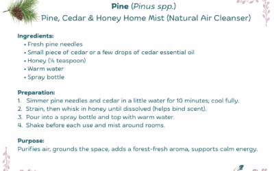 Pine, Cedar & Honey Home Mist
