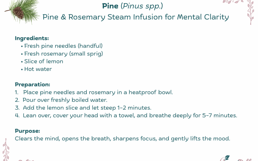 Pine & Rosemary Steam Infusion for Mental Clarity