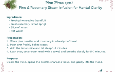 Pine & Rosemary Steam Infusion for Mental Clarity