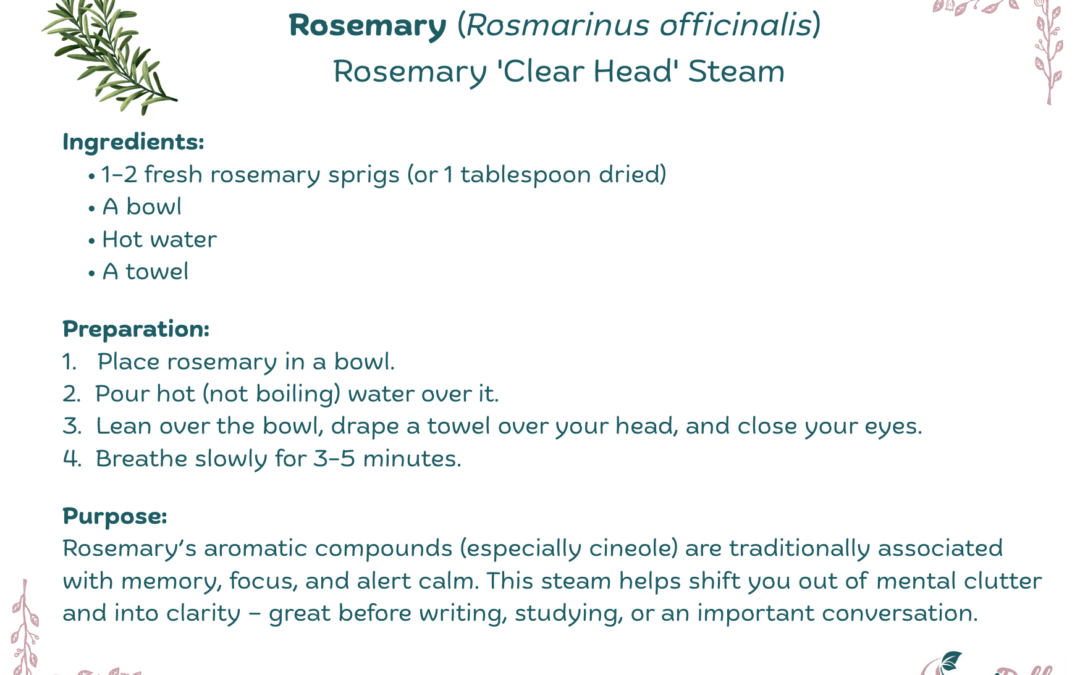 Rosemary ‘Clear Head’ Steam