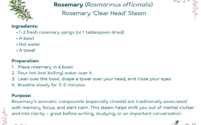 Rosemary ‘Clear Head’ Steam