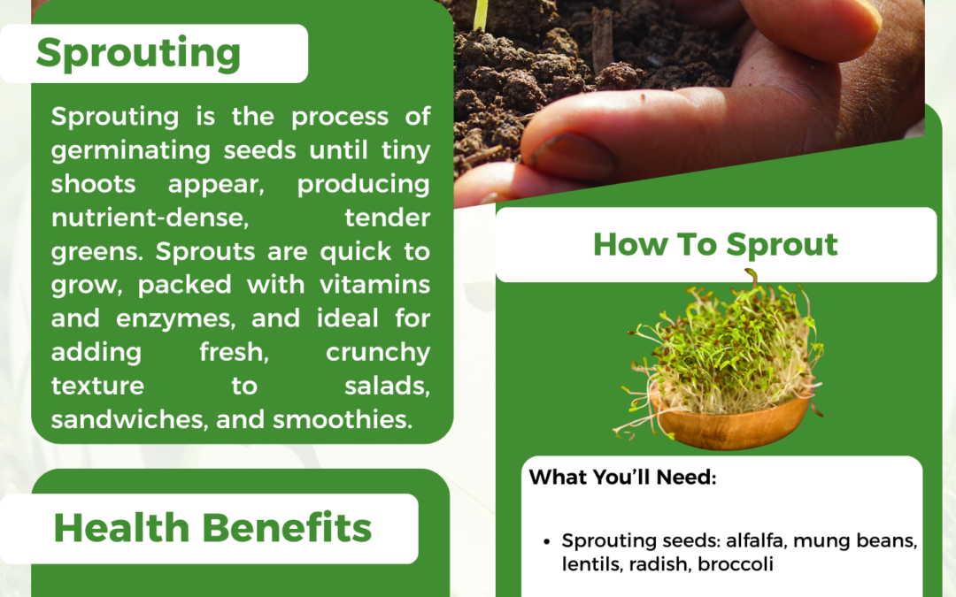 Sprouting in January