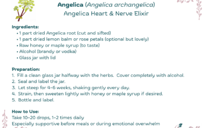 Angelica Heart & Nerve Elixir