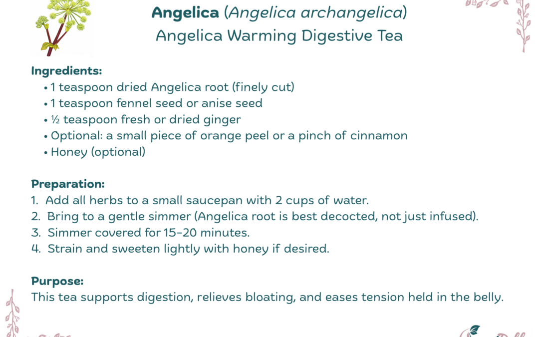 Angelica Warming Digestive Tea