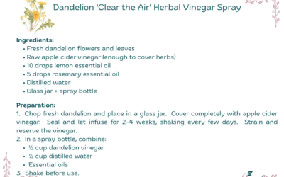 Dandelion ‘Clear the Air’ Herbal Vinegar Spray