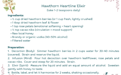 Hawthorn Heartline Elixir