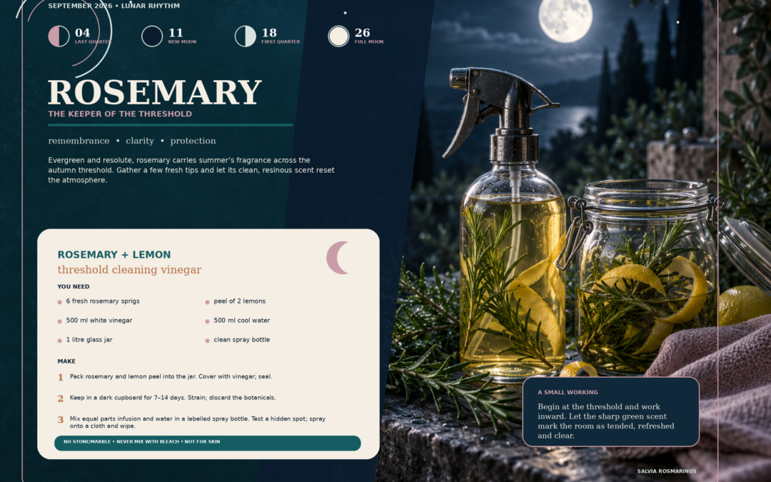 Rosemary & Lemon Threshold Cleaning Vinegar